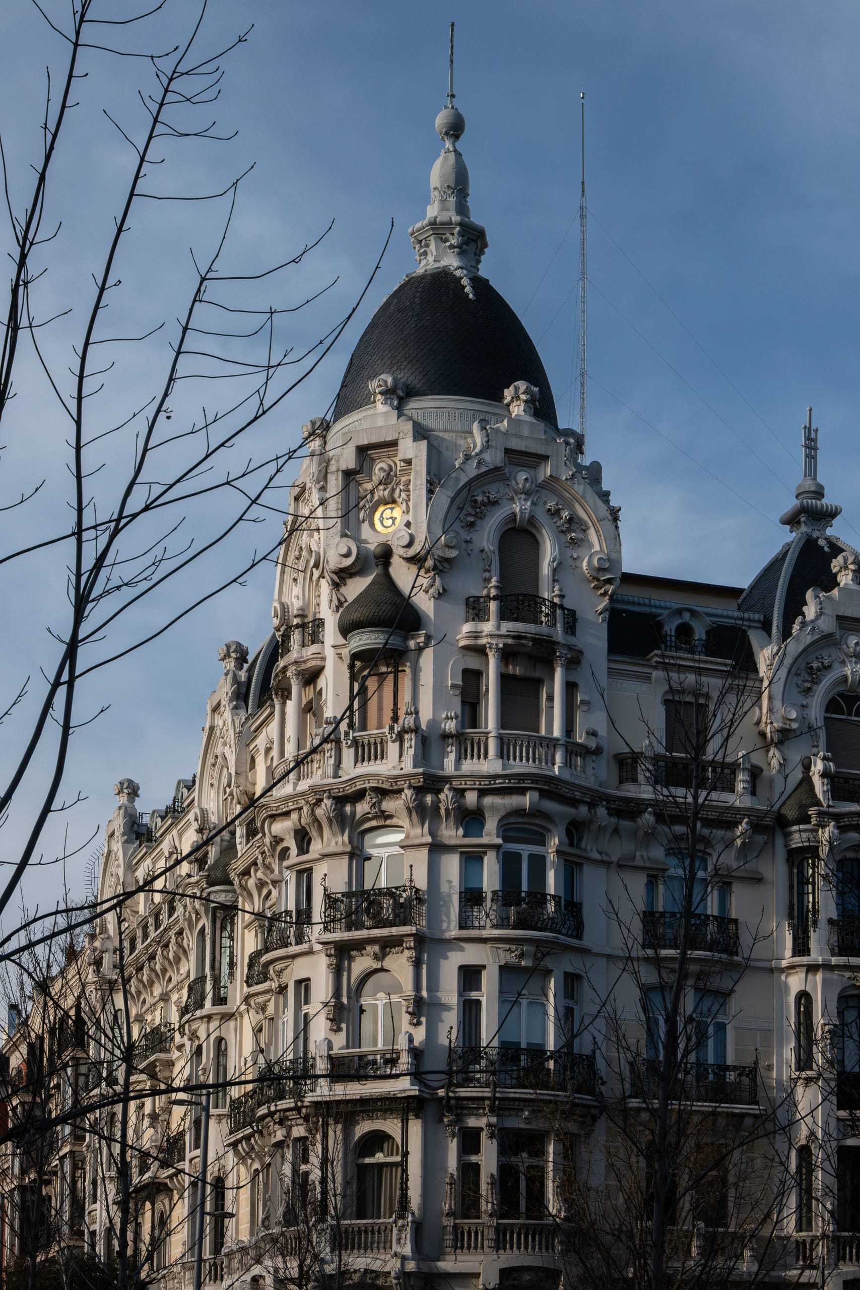 Ornate domed building framed by bare branches