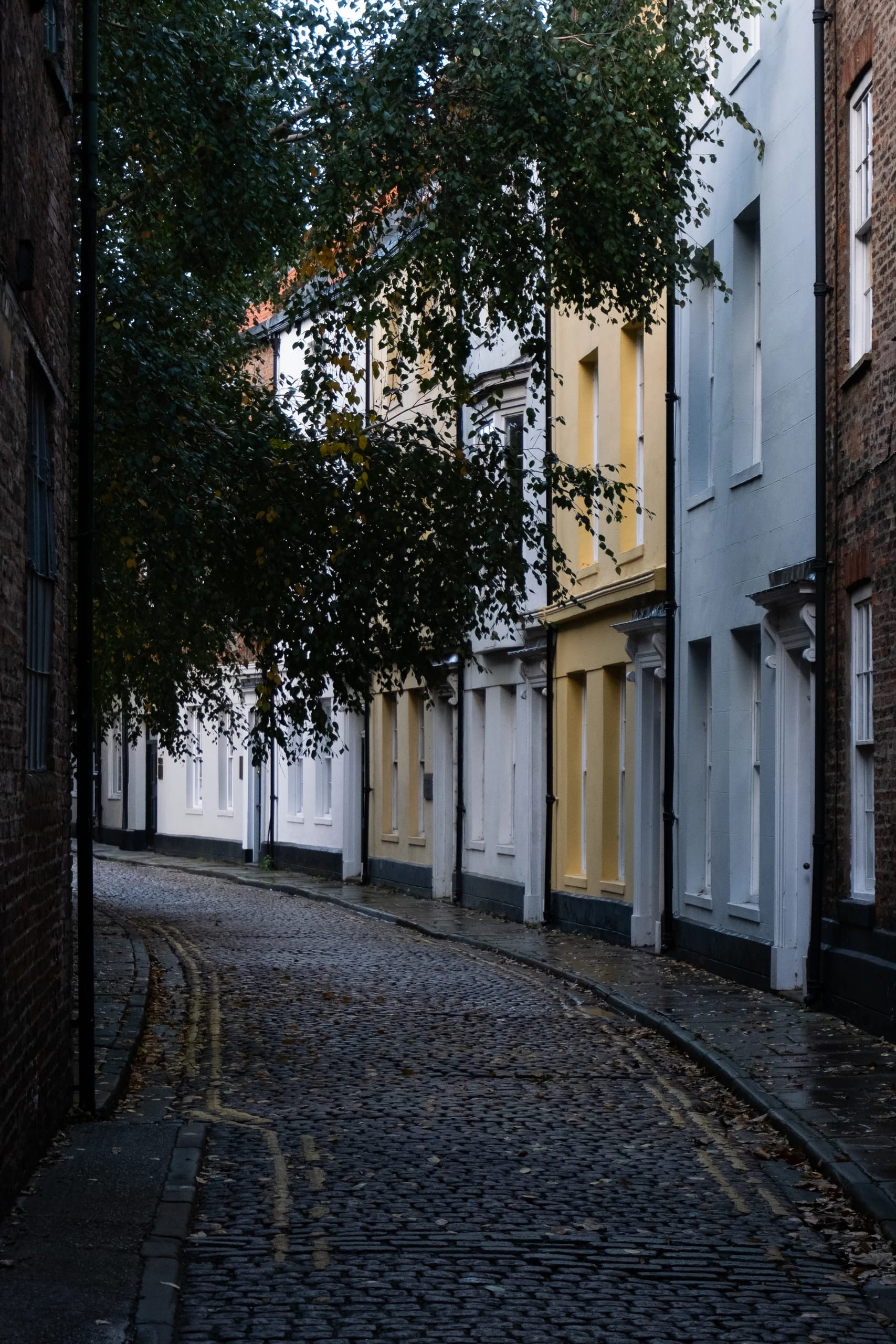A quiet cobbled lane with pale painted facades and overhanging trees